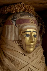 Ptolemaisk kiste, mumie med forgylt maske og blomsterkranser (sypresstre)